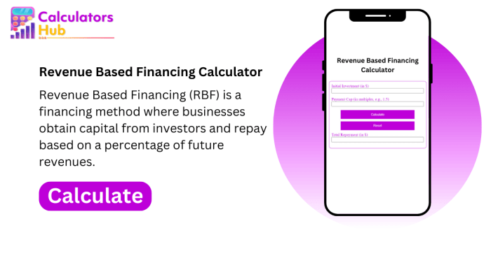 Revenue Based Financing Calculator Online
