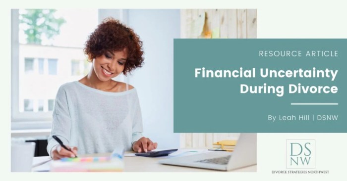 Financial Uncertainty During Divorce | Divorce Strategies NW